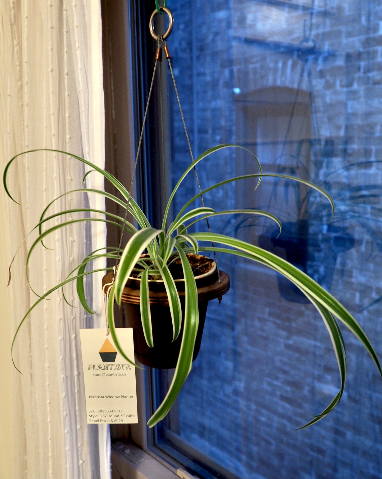 The Original Plantista Window Planter