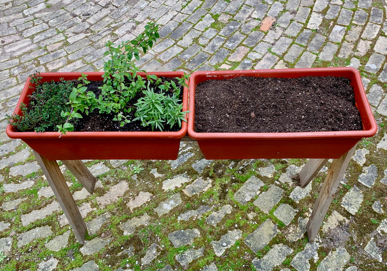 Plantista Backyard Planter