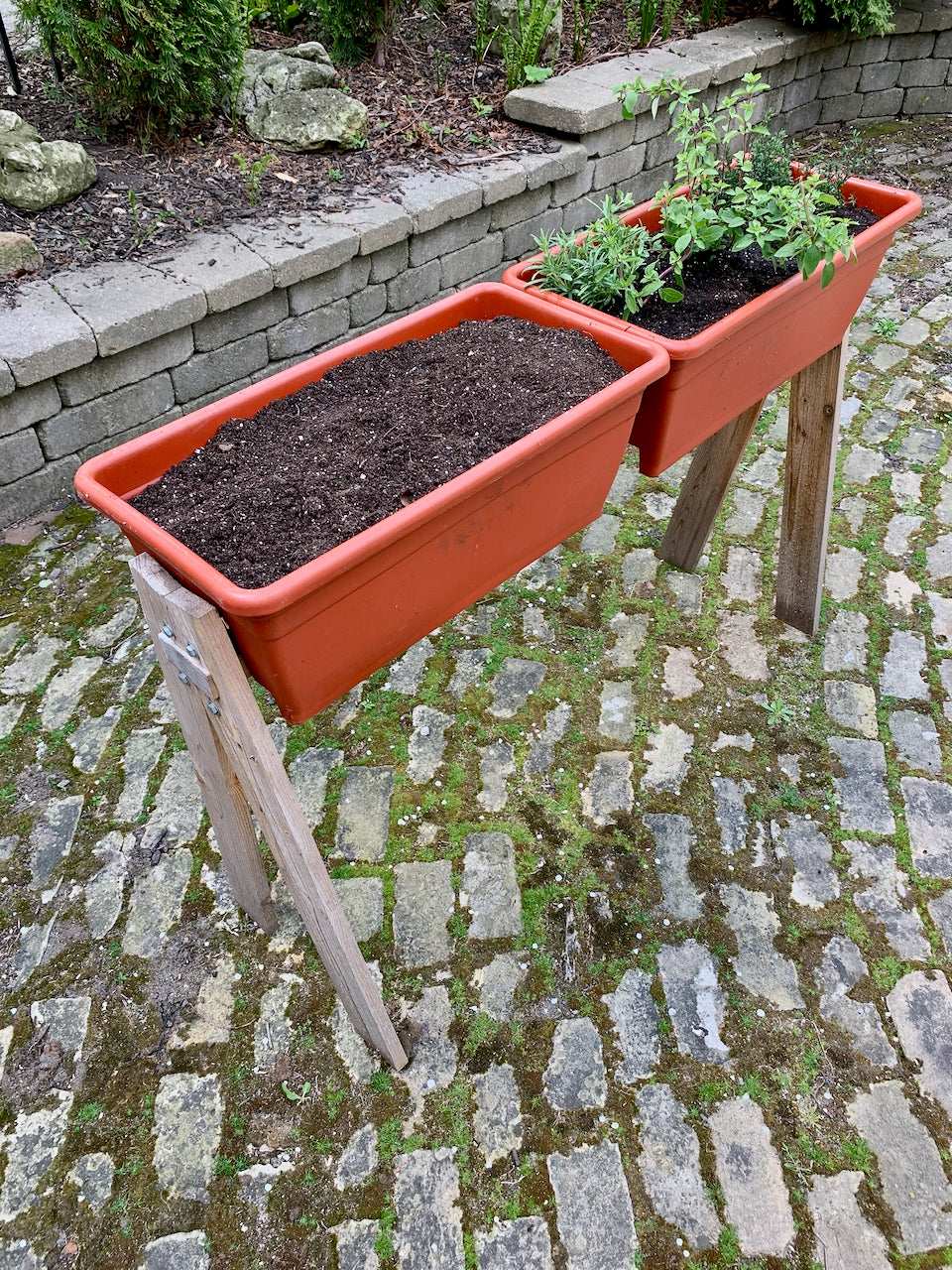 Plantista Backyard Planter